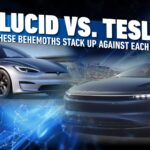 How These Behemoths Stack Up In opposition to Every Different