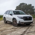 The One You have Been Ready For