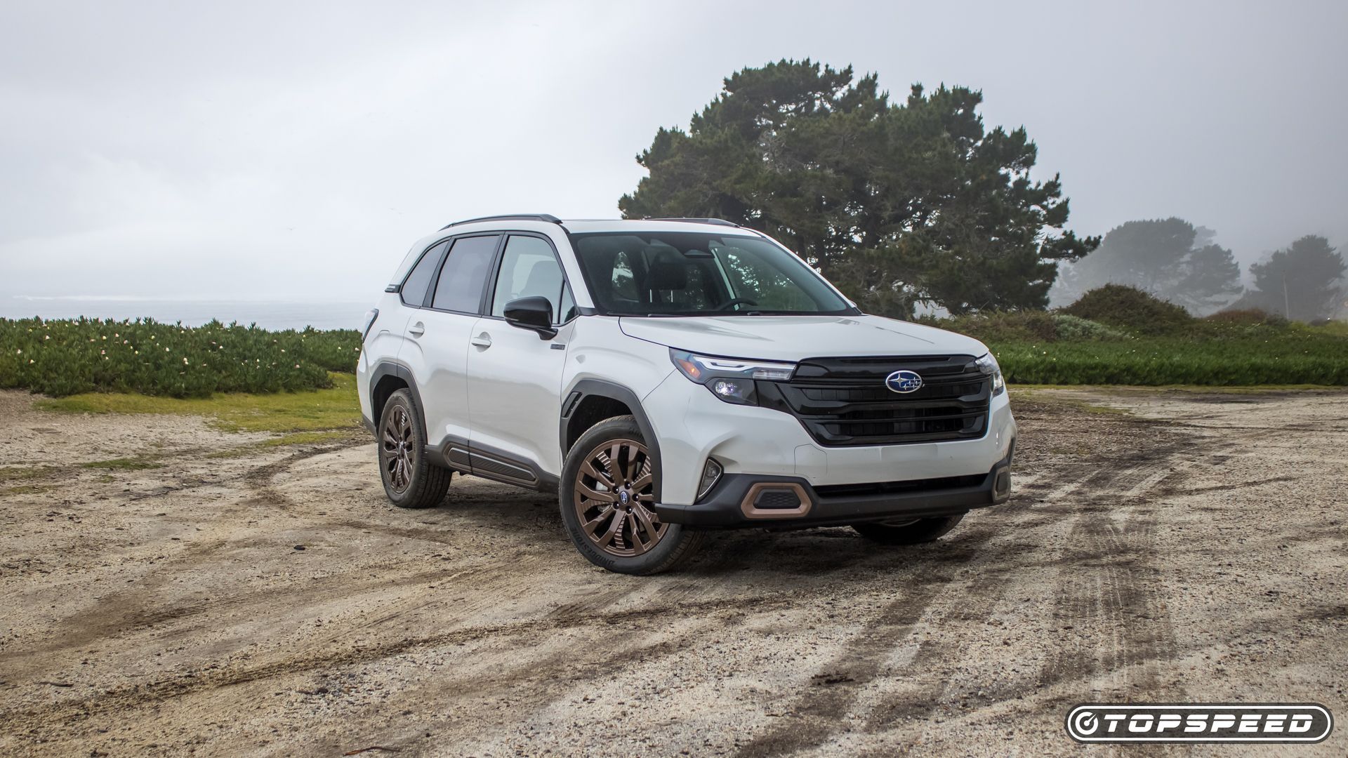 The One You have Been Ready For